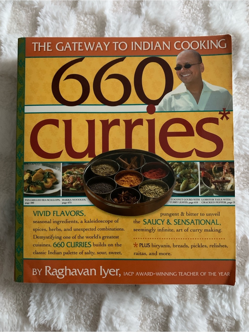 660 Curries: Gateway to Indian Cooking, Raghavan Iyer; Huge Curry Cookbook! EUC